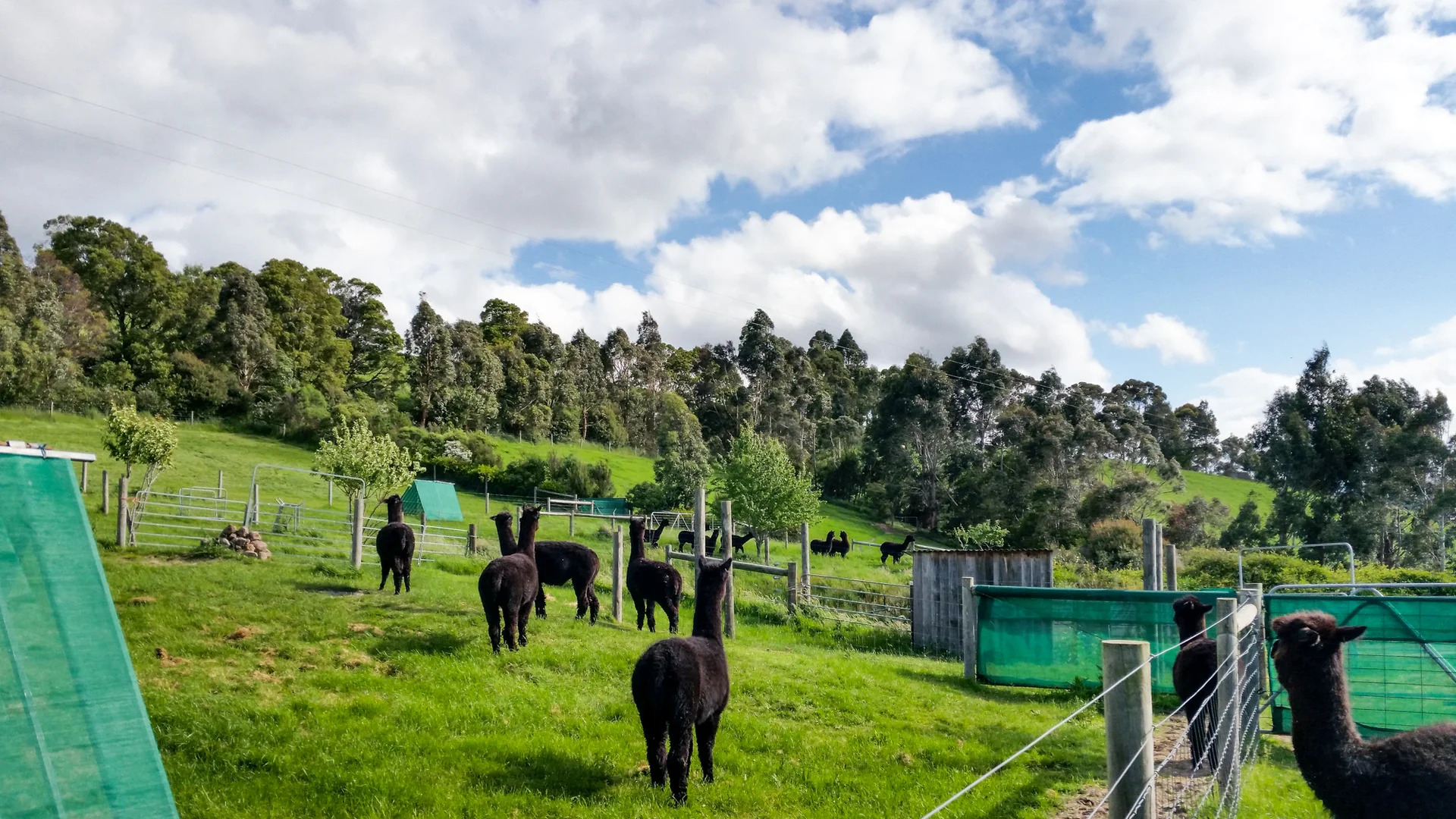 Additional image 28 of 426 Yarragon Leongatha Road, Yarragon VIC 3823