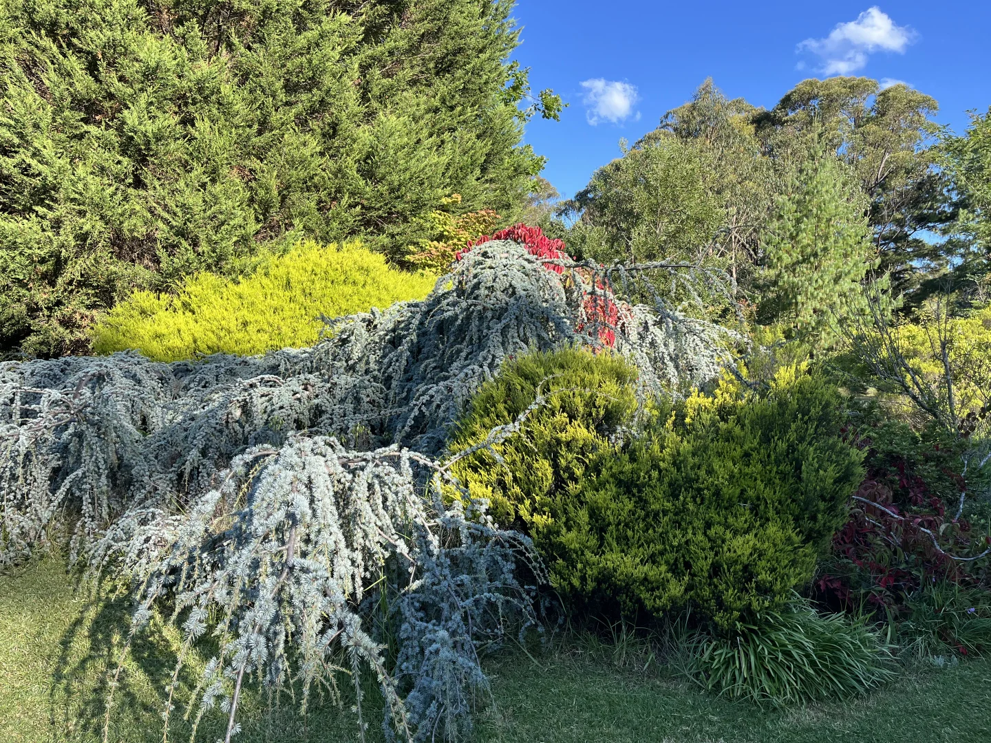 Additional image 19 of 222 Coxs River Road, Little Hartley NSW 2790