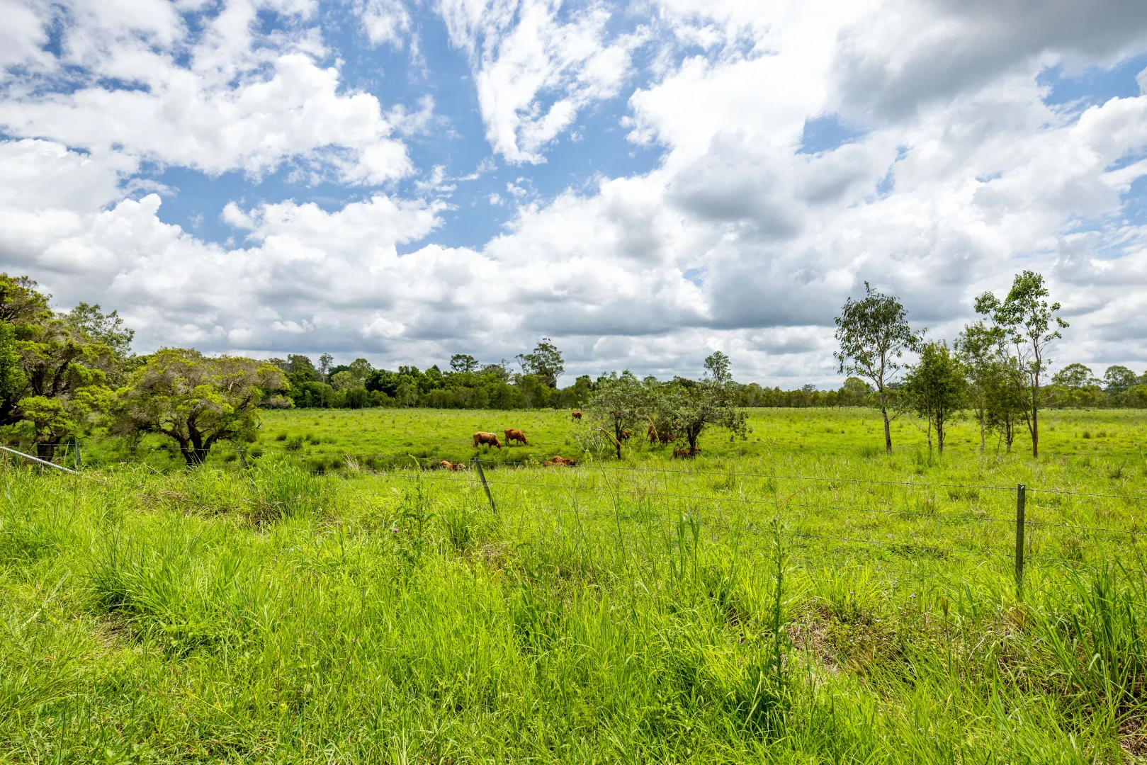 Additional image 10 of 6 Canando Street, Woodford QLD 4514