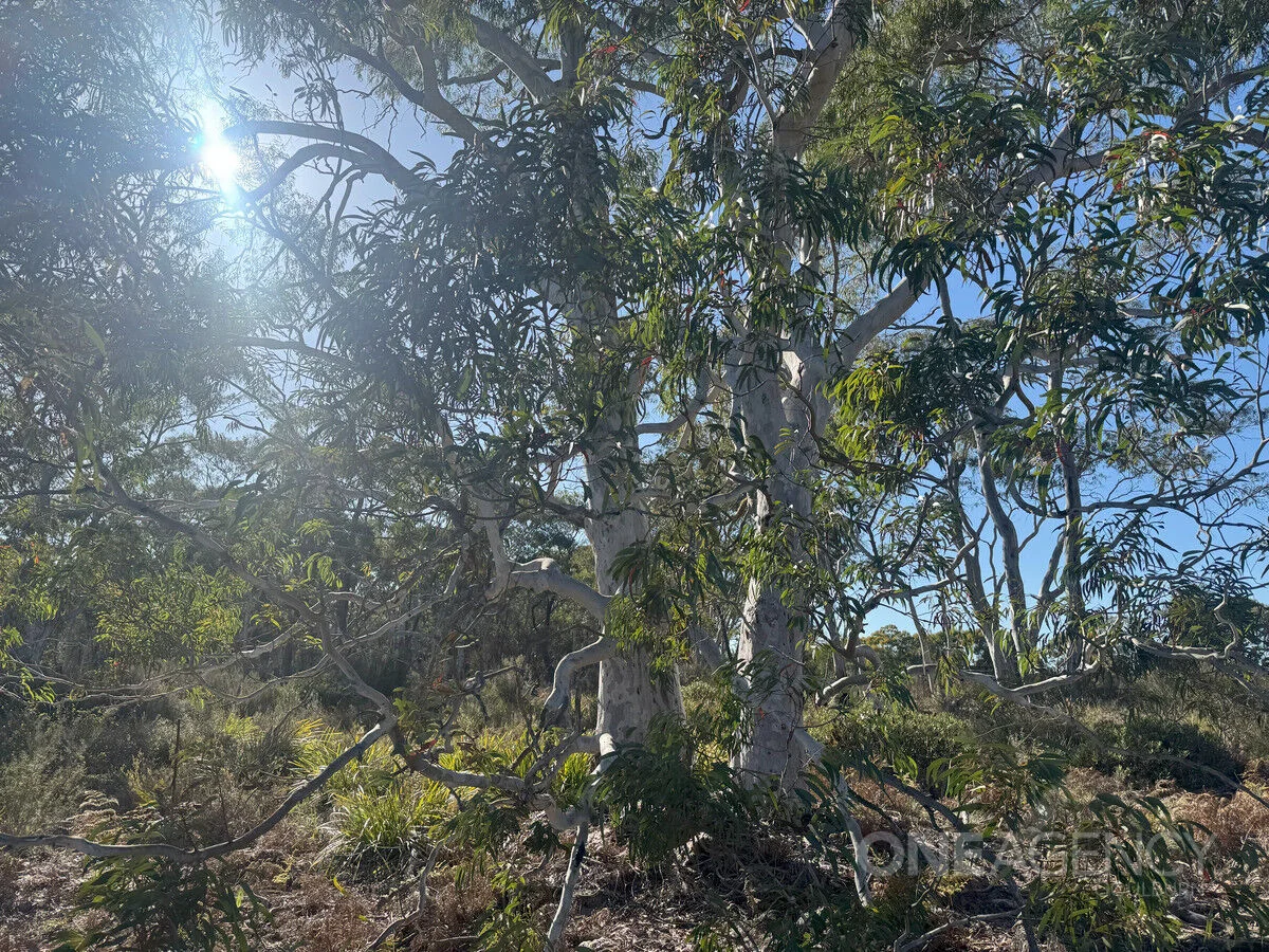 Additional image 8 of 1588 Oallen Ford Road, Oallen NSW 2622