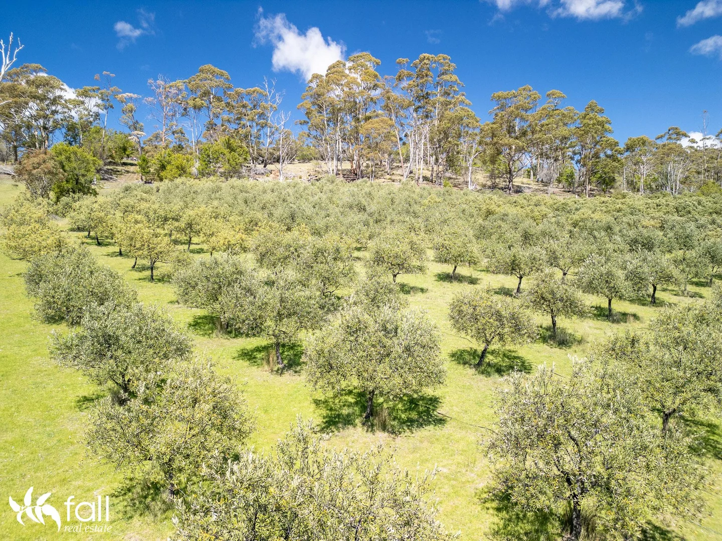 Additional image 3 of 402 Bruny Island Main Road, North Bruny TAS 7150