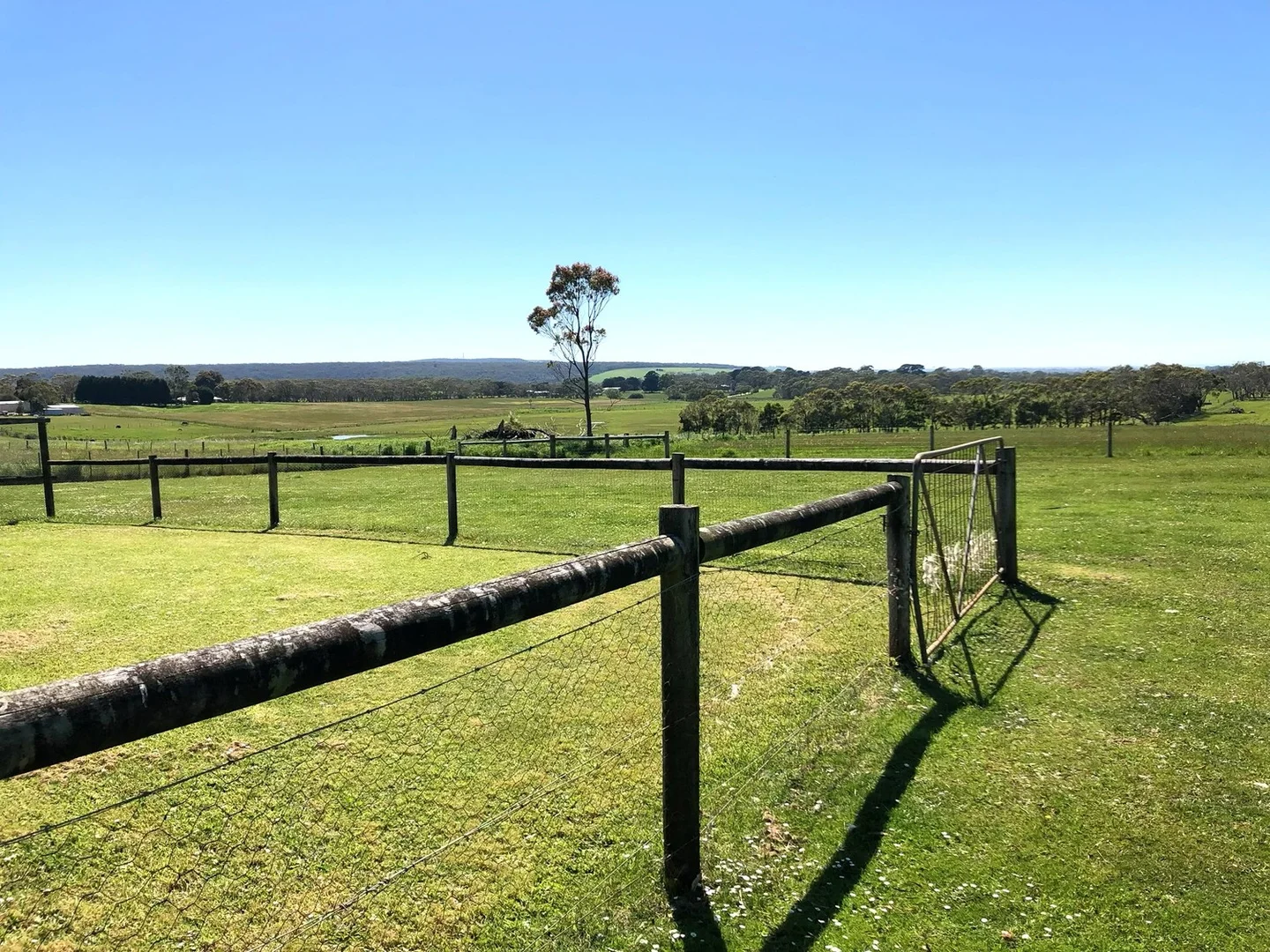 Additional image 5 of 518 Princes Highway, Bolwarra VIC 3305