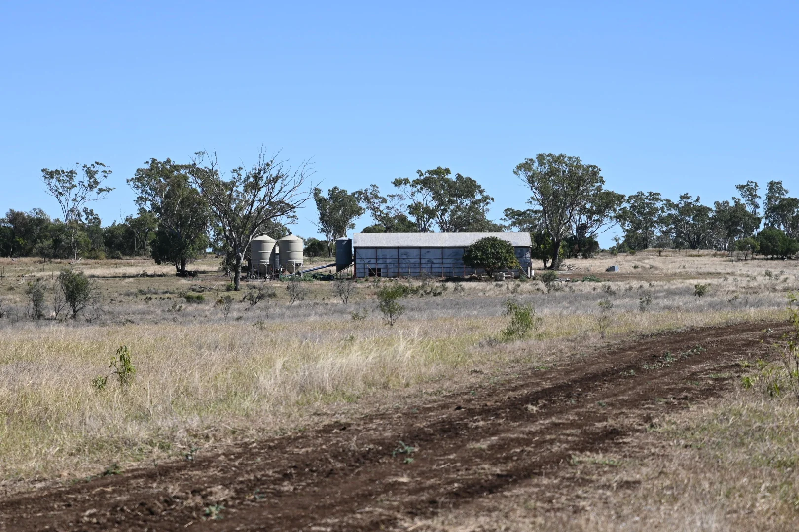 Additional image 28 of 102 Lowestoff Road, Capella QLD 4723