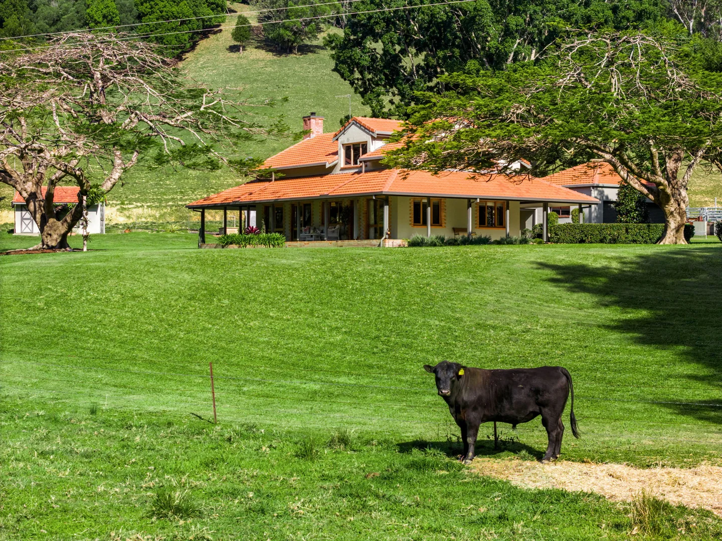 Additional image 24 of 483 Urliup Road, Urliup NSW 2484