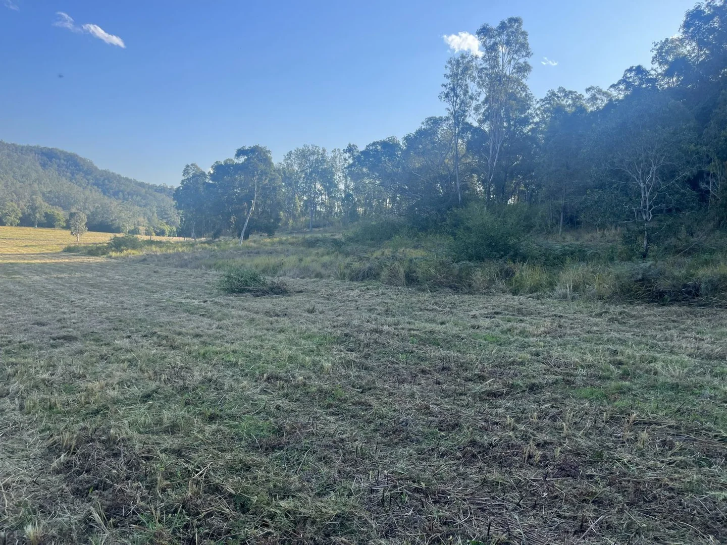 Additional image 7 of 2374 Upper Mongogarie Road, Upper Mongogarie NSW 2470