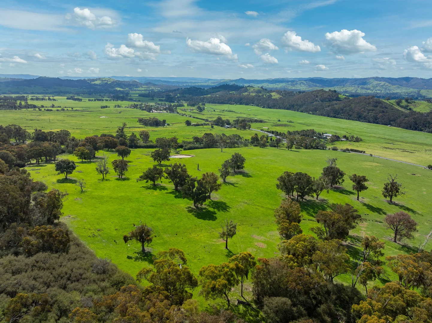 Additional image 7 of 368 Rubicon Road, Rubicon VIC 3712