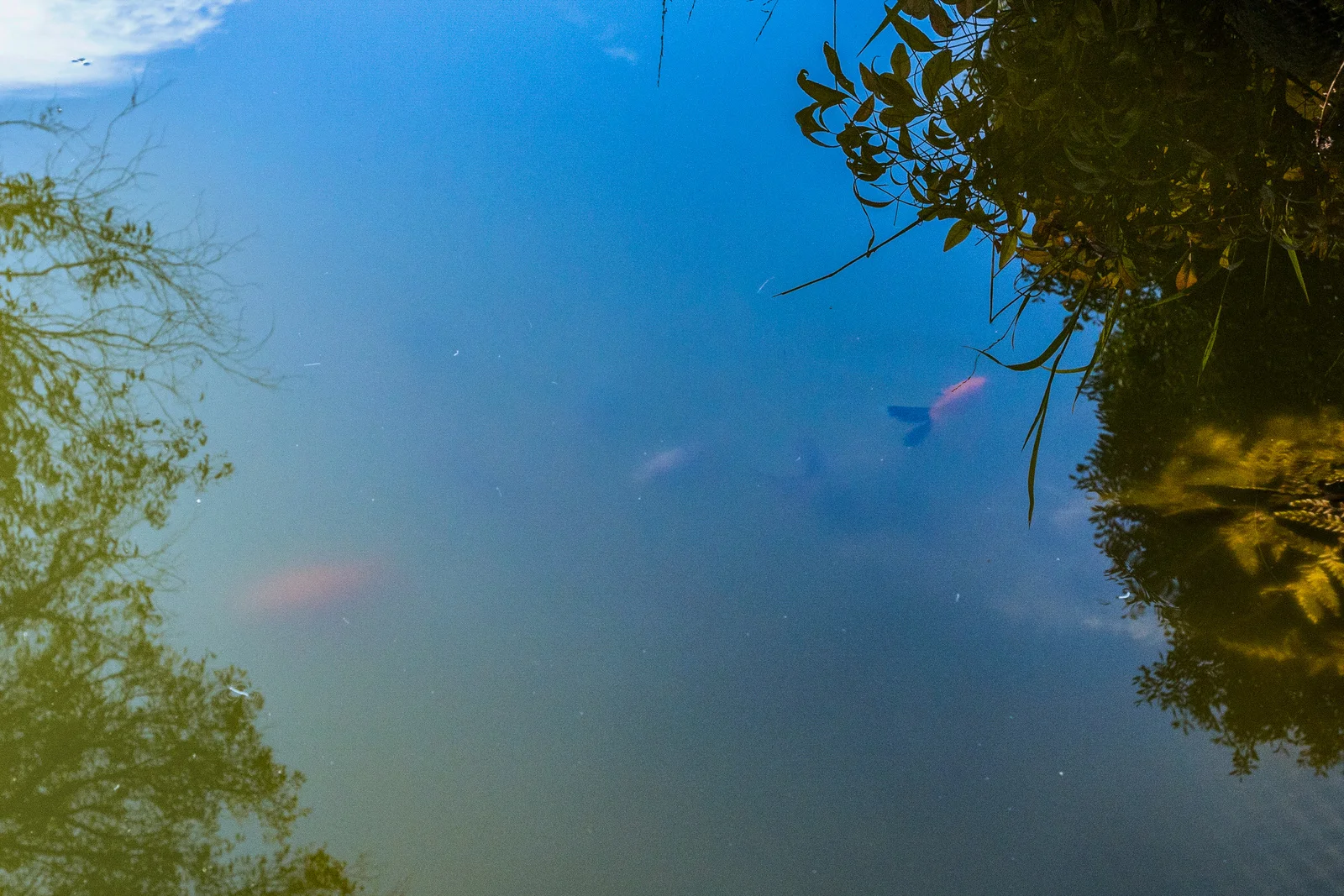 Additional image 14 of 1 Smiths Road, Nicholls Rivulet TAS 7112