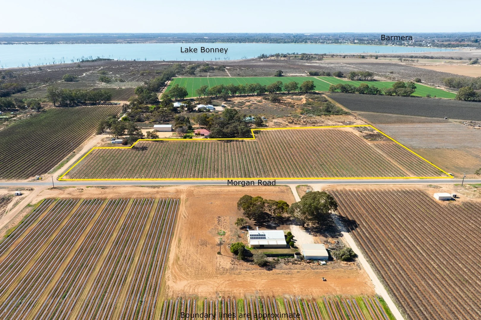 Lot 1 Morgan Road, Barmera SA 5345