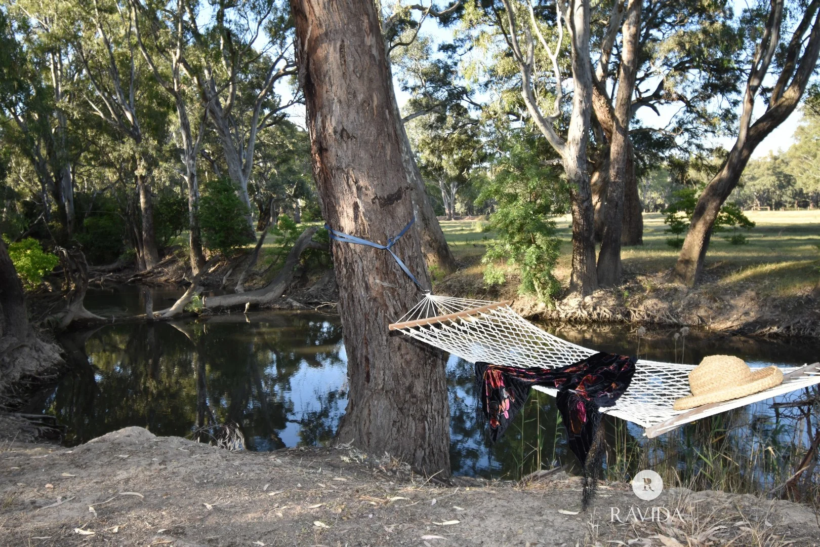 31 Vernon Road, Wangaratta VIC 3677