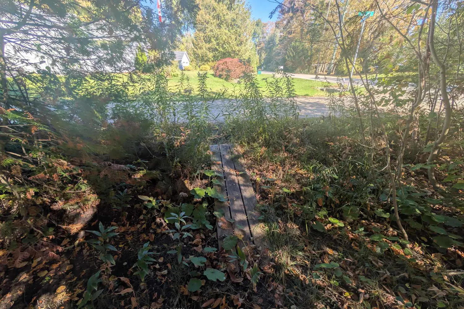 Additional image 12 of Lt 166 Mallory Beach Road