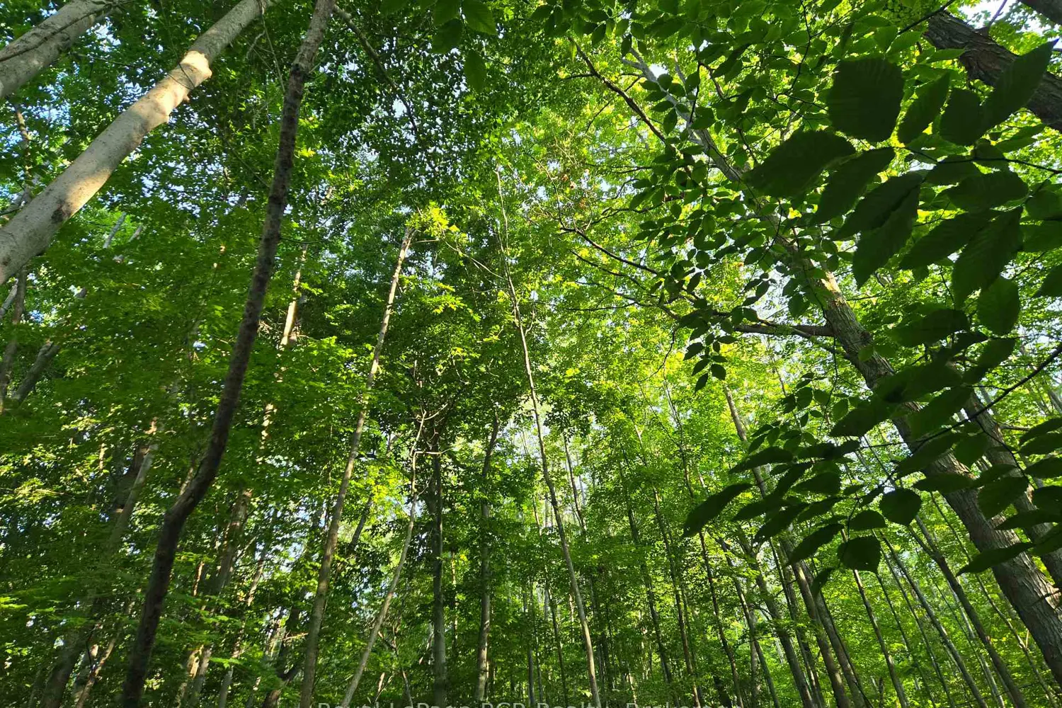 Additional image 6 of 130 Old Highway 26 Highway