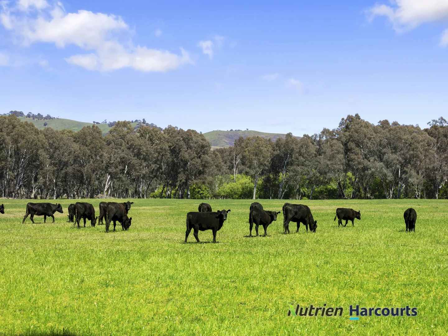 Additional image 25 of 26 Baynes Road, Molesworth VIC 3718