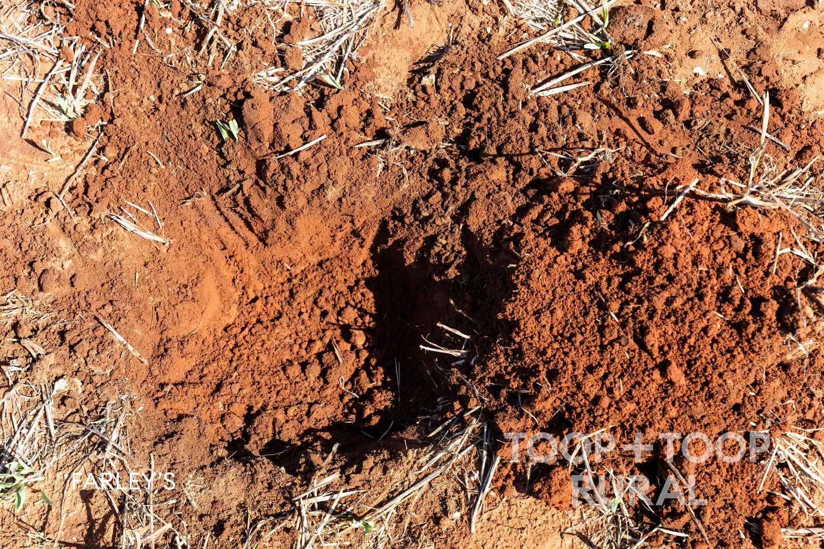 Additional image 19 of Church Road, Copeville SA 5308