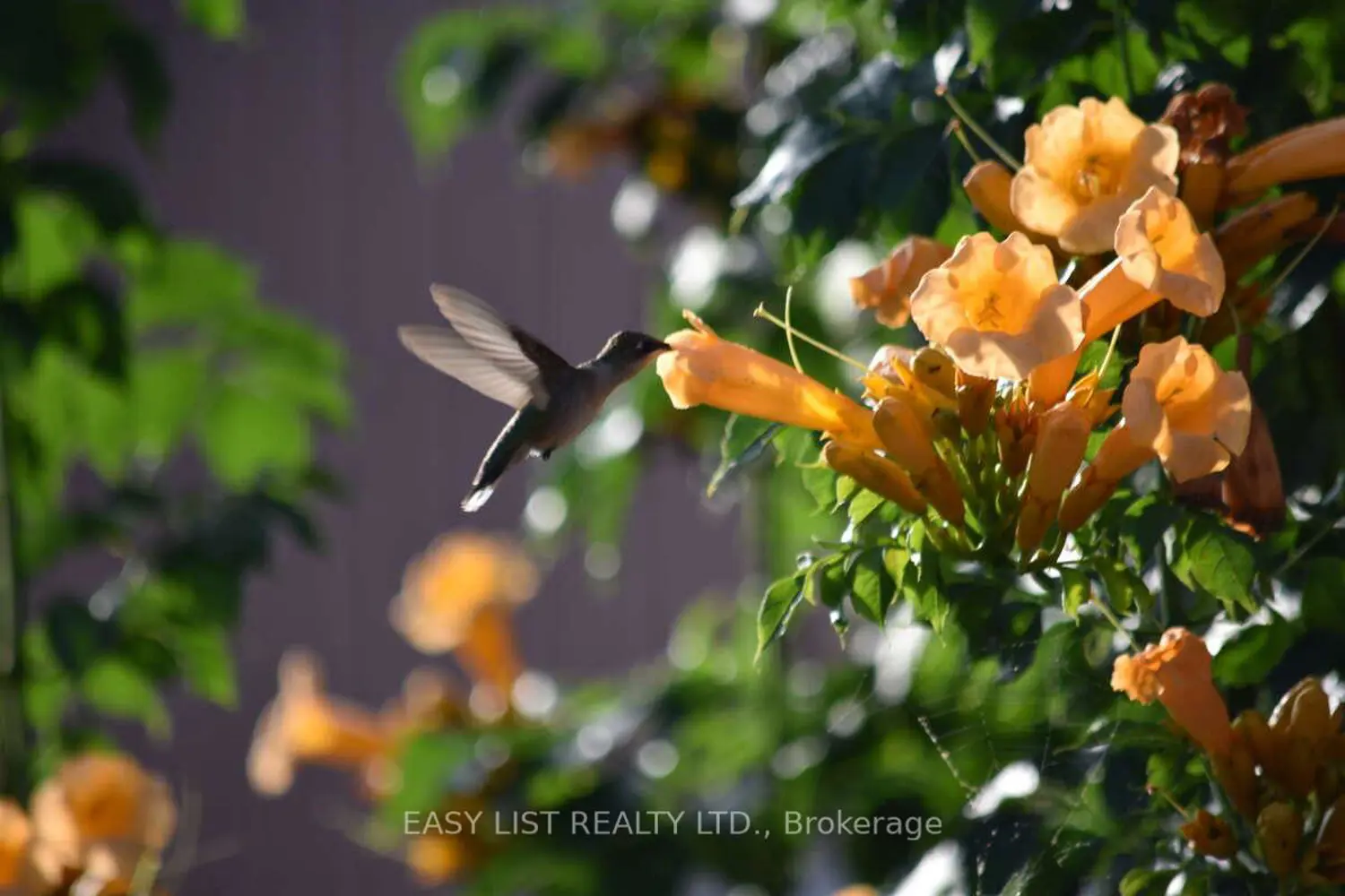 Additional image 18 of 7652 Harris Point Drive