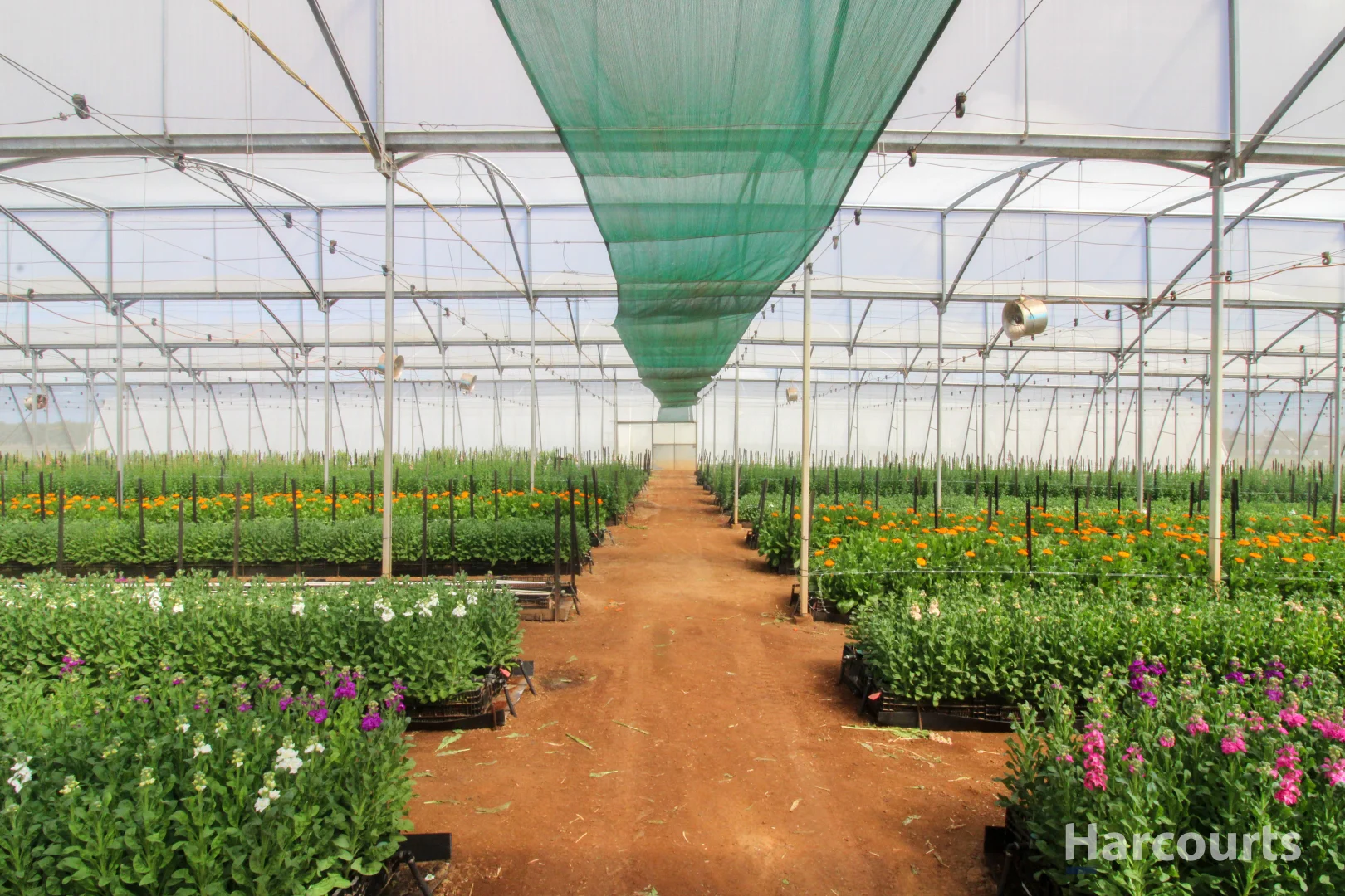 Additional image 5 of 106 Sheehans Road, Calavos QLD 4670