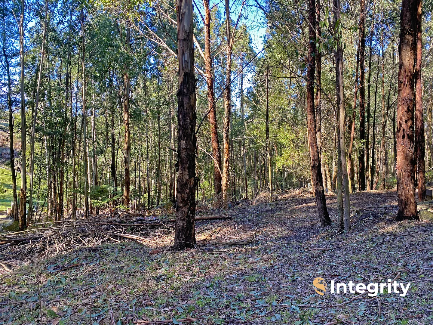 Additional image 5 of 47 Bald Spur Road, Kinglake VIC 3763