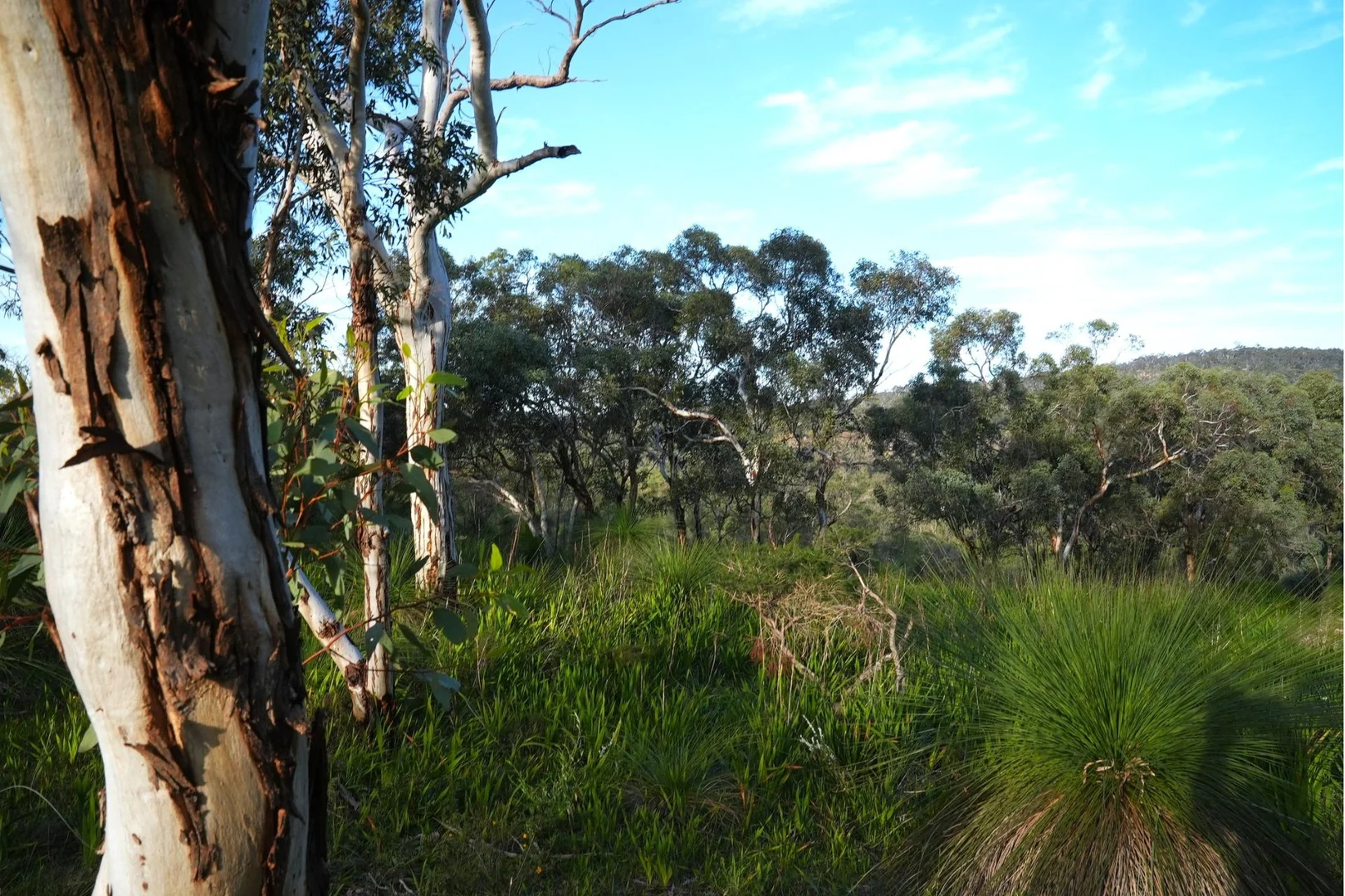 Additional image 19 of 245 Pechey Road, Swan View WA 6056