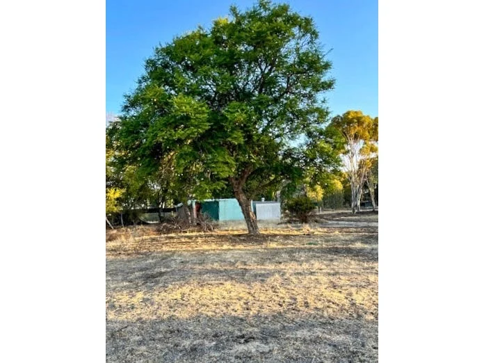 Additional image 14 of 964 Dobaderry Road, Beverley WA 6304