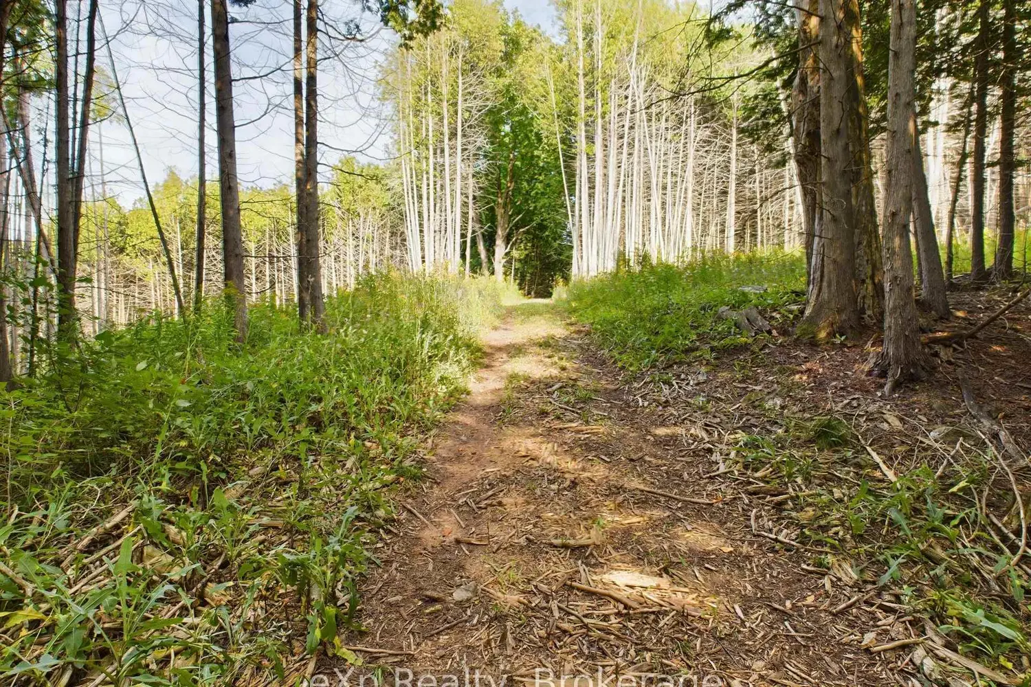 Additional image 10 of 502265 Concession 10 Ndr Concession