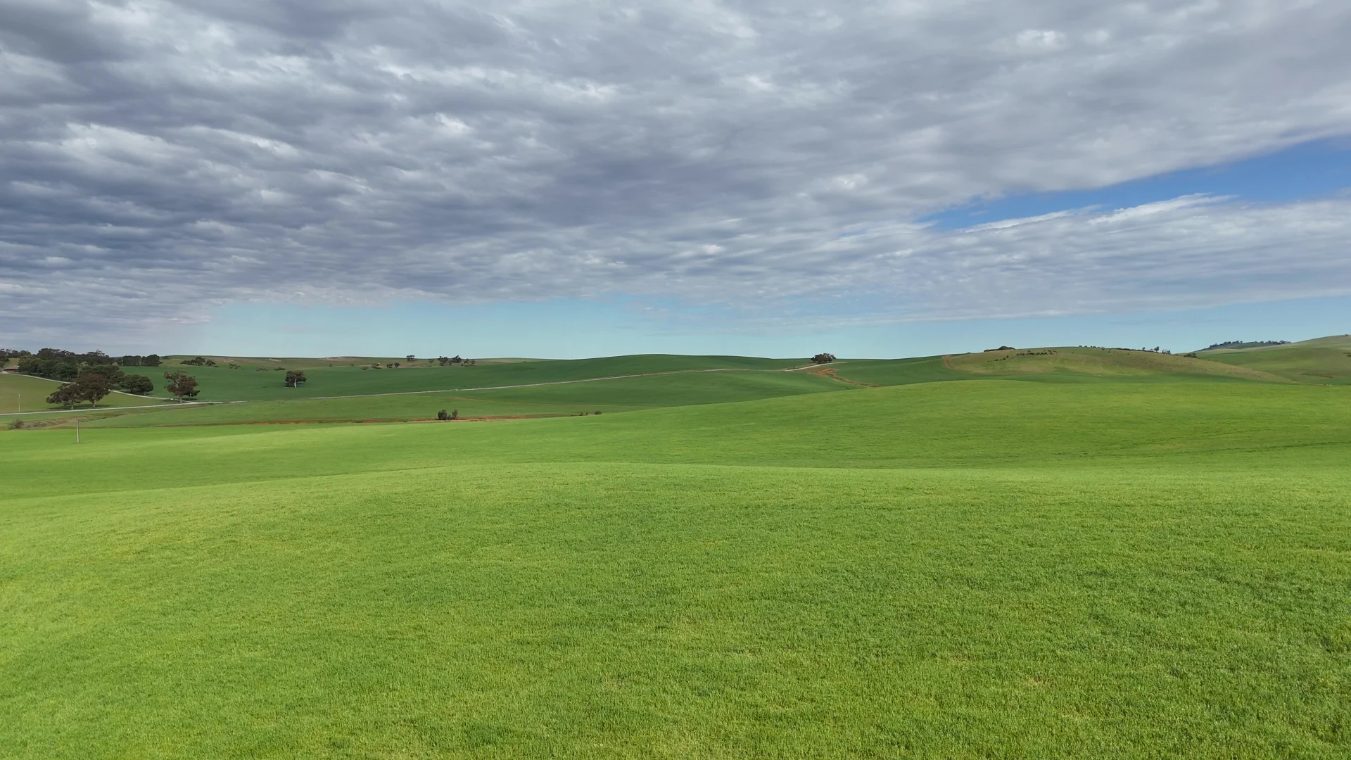 Additional image 11 of 'Broughton Valley' 1 Euromina Road, Broughton River Valley SA 5454