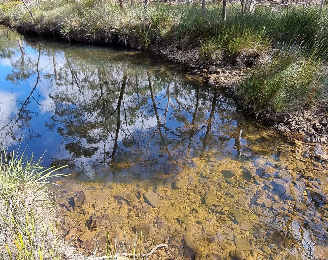 Additional image 16 of 4560 Tasman Highway, Swansea TAS 7190