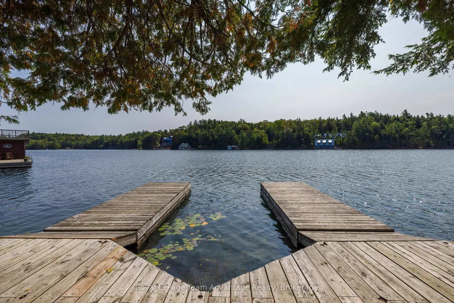 Additional image 9 of 11 Veronica Gene Lane