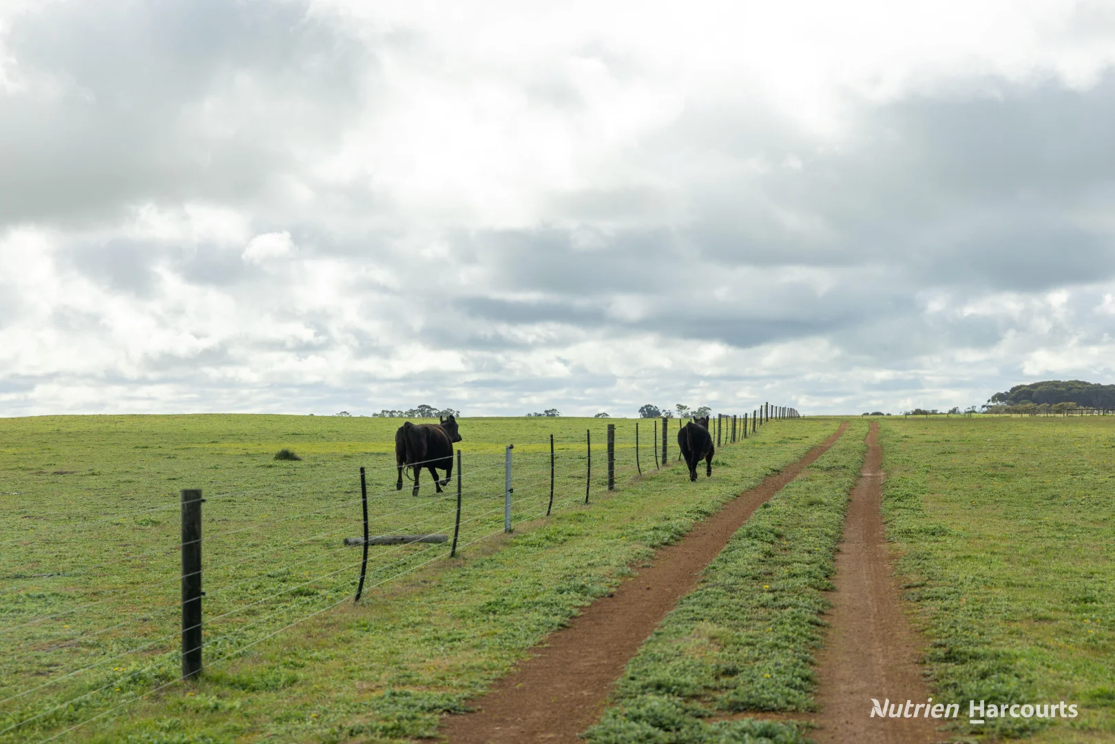 Additional image 9 of 1463 Savage Road, Neridup WA 6450