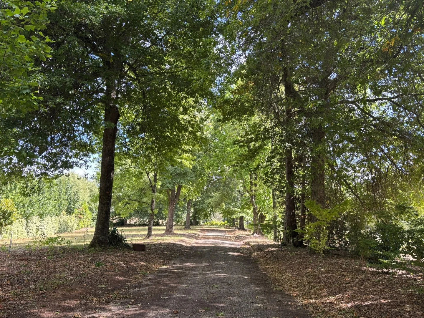 Lot 1/22 Falls Road, Marysville VIC 3779