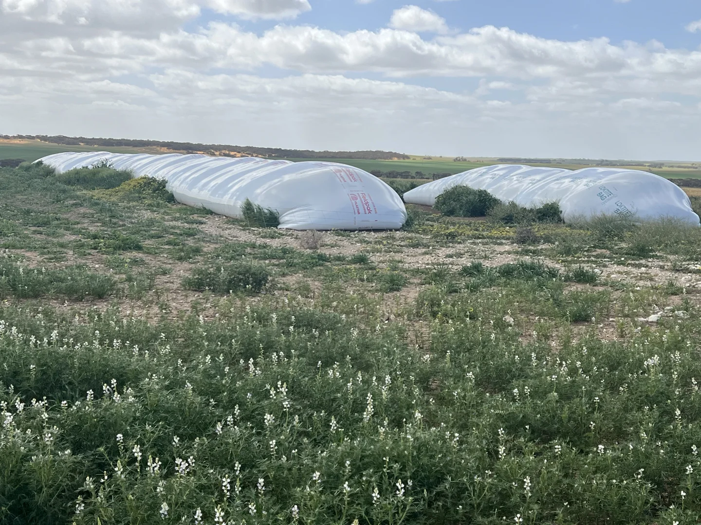 Additional image 7 of 162 Pope Road, Karoonda SA 5307