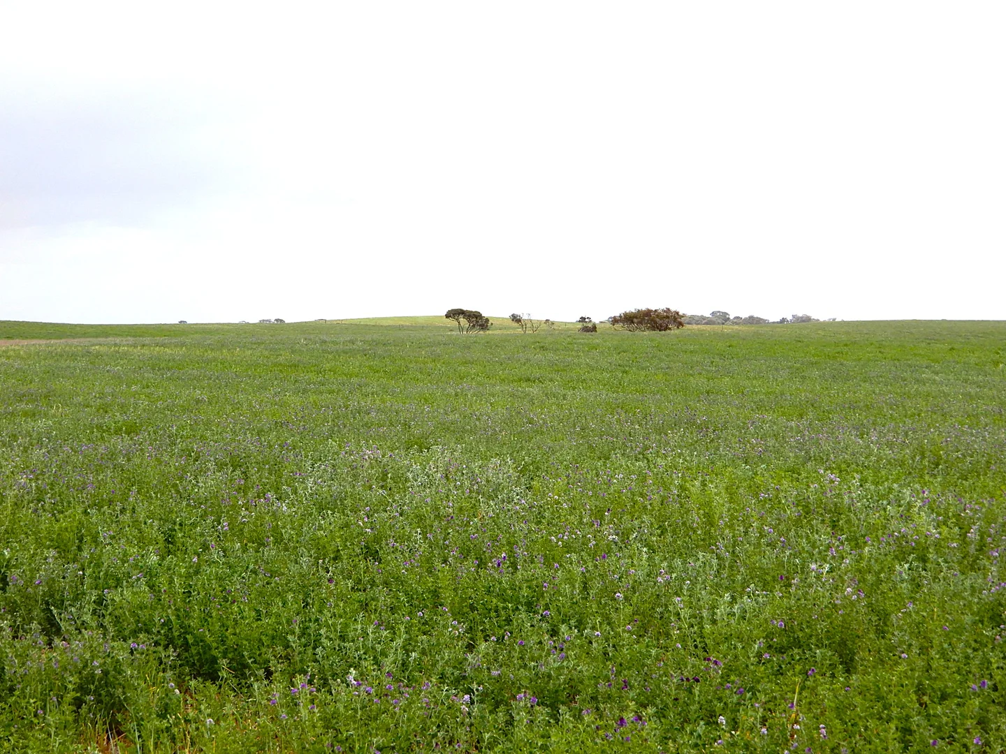 Additional image 18 of 252 Jabez Williams Road, Meningie SA 5264