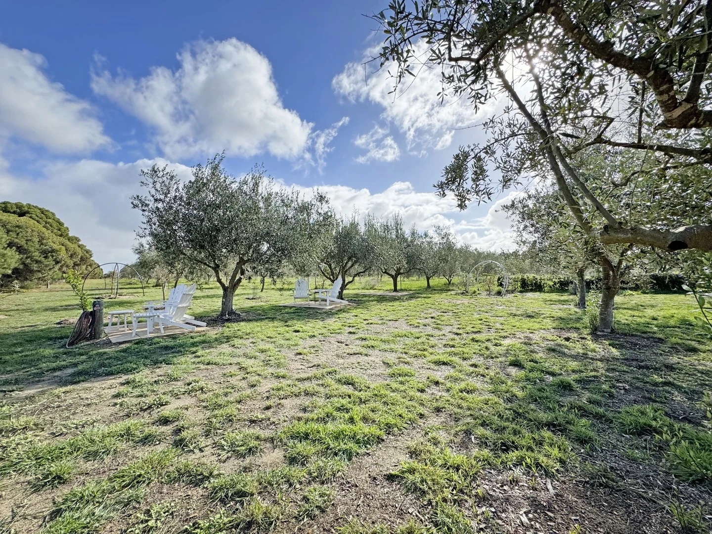 1544 Fisheries Road, Myrup WA 6450