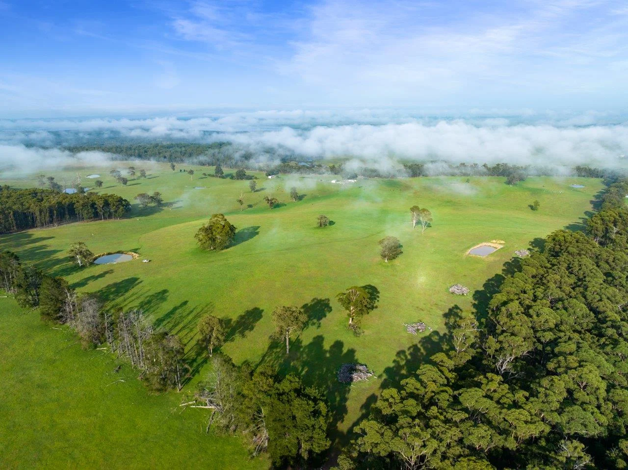 Additional image 23 of 393 & 428 Sandy Flat Road, Brodribb River VIC 3888