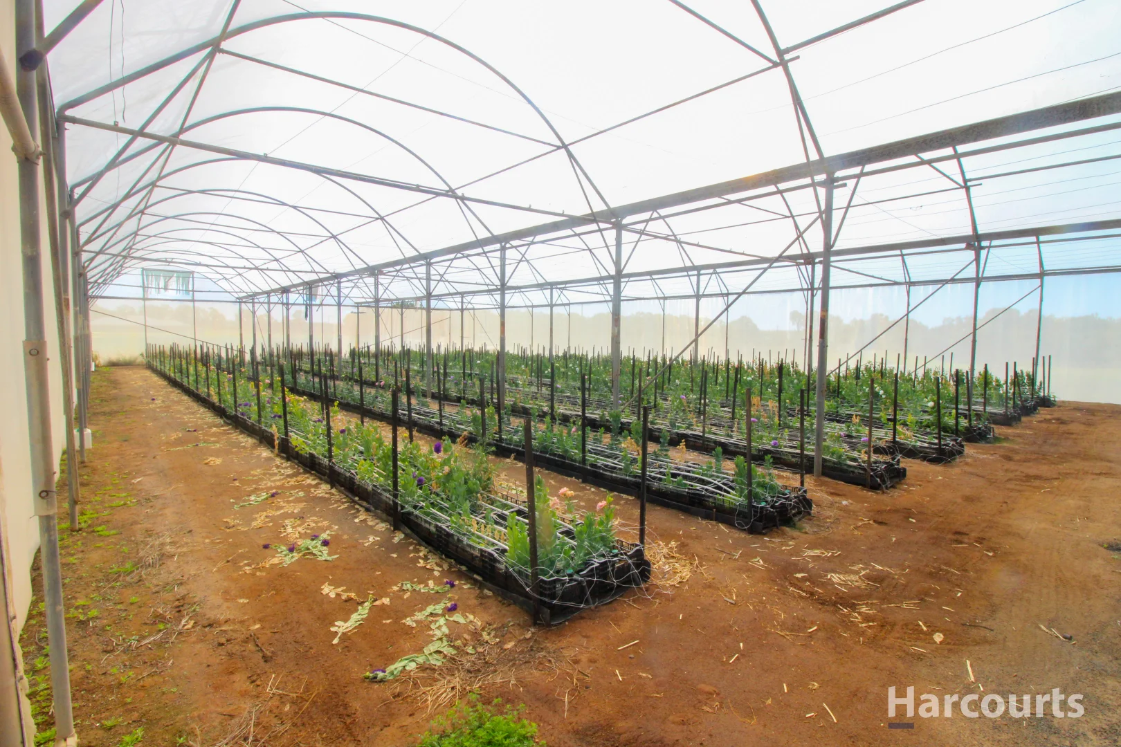 Additional image 25 of 106 Sheehans Road, Calavos QLD 4670