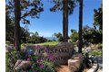 Additional image 7 of 34866 Doheny Pl, Dana Point, CA, 92624