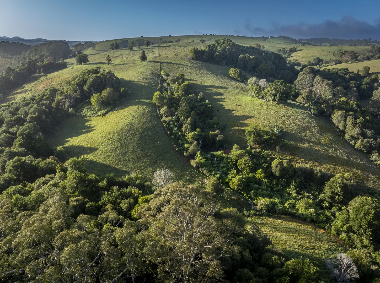 Additional image 8 of 294 Coramba Road, Dorrigo NSW 2453