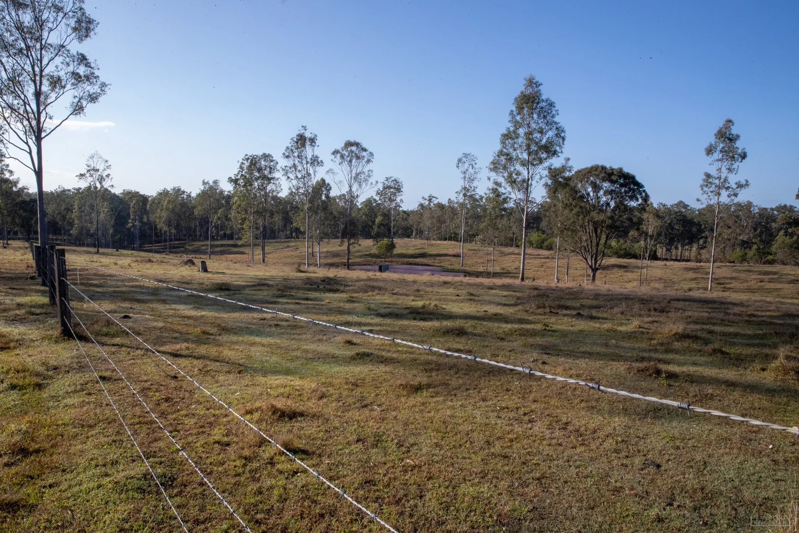 Additional image 10 of 264 Thompson A Road, Woocoo QLD 4620