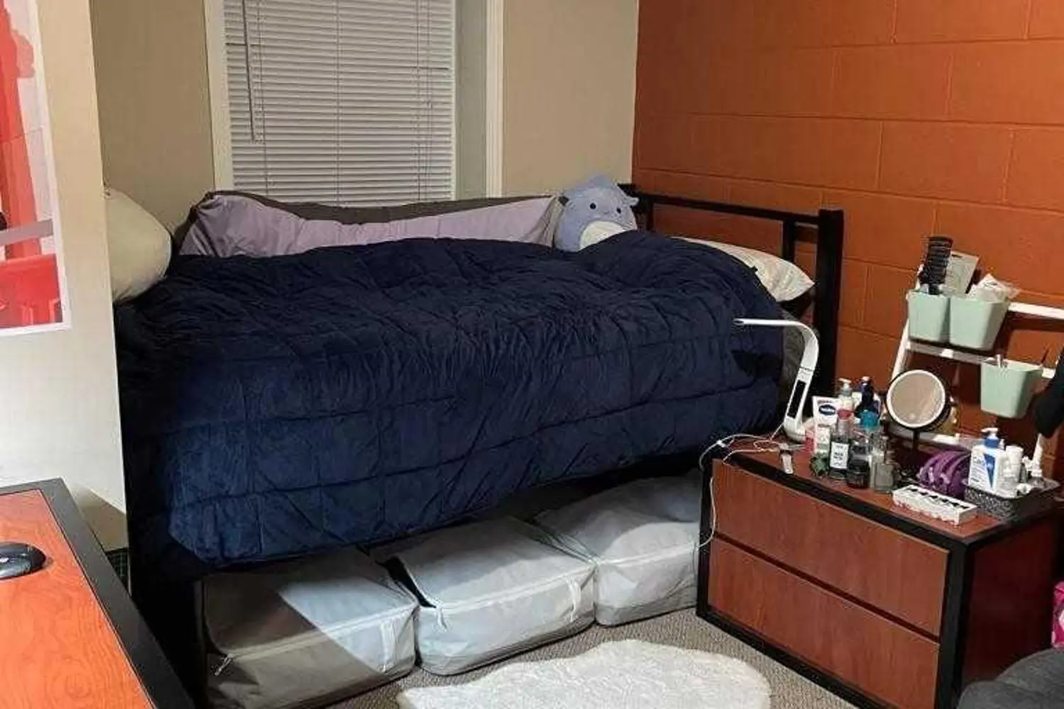 Additional image 15 of 261 Lester Street 101