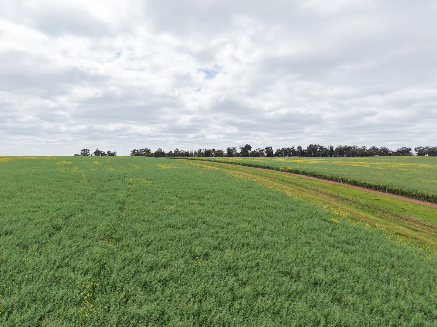 Additional image 24 of 495 Narlingup Road, Qualeup WA 6394