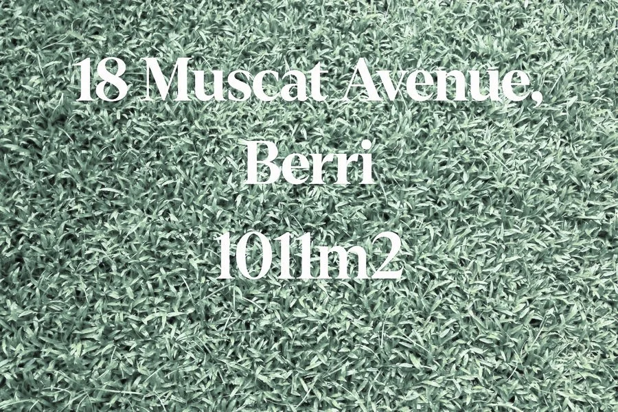 18 Muscat Avenue, Berri SA 5343