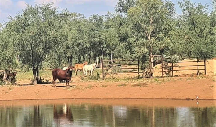 Additional image 19 of Great Northern Highway, Derby WA 6728