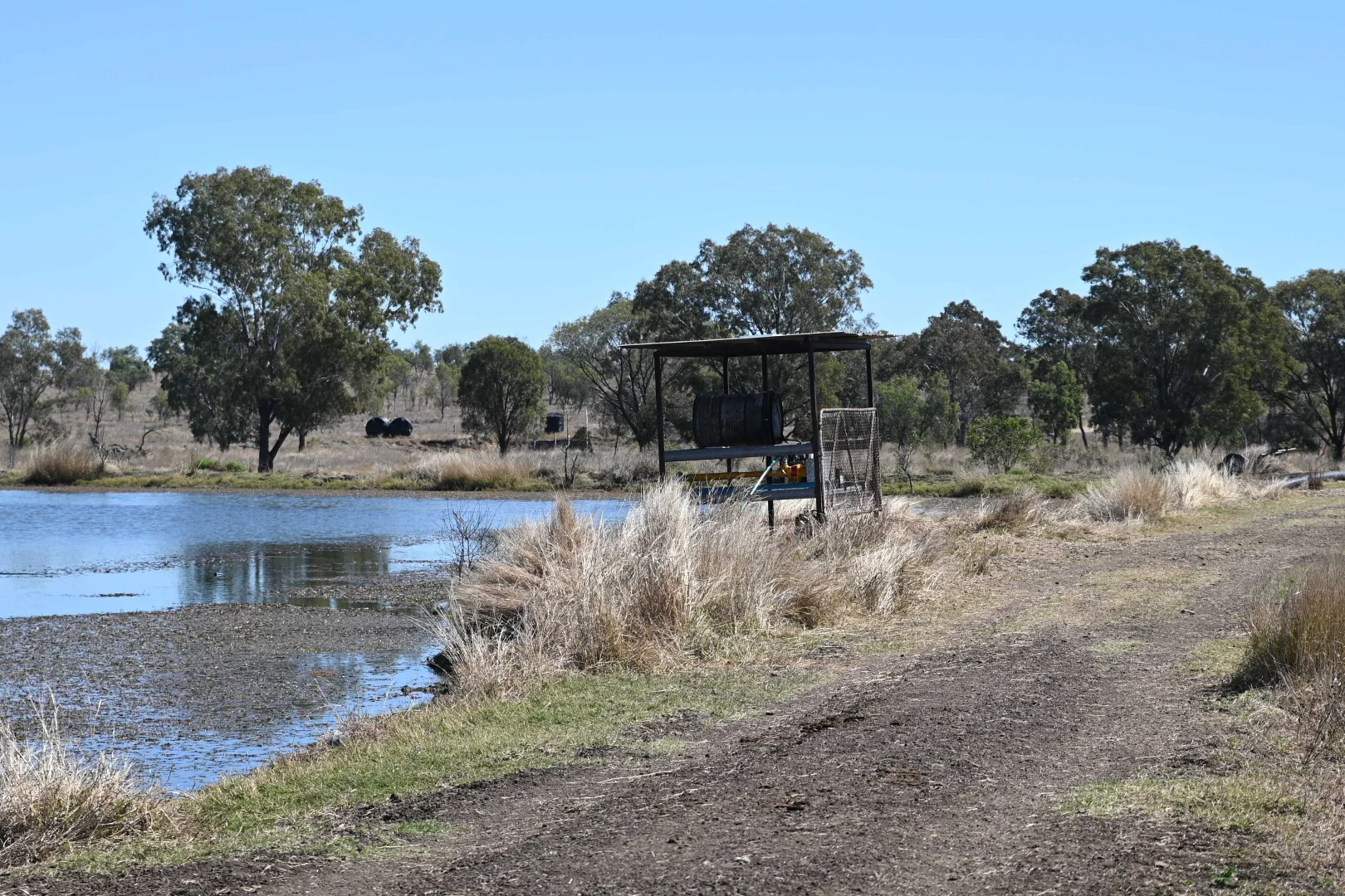 Additional image 9 of 102 Lowestoff Road, Capella QLD 4723
