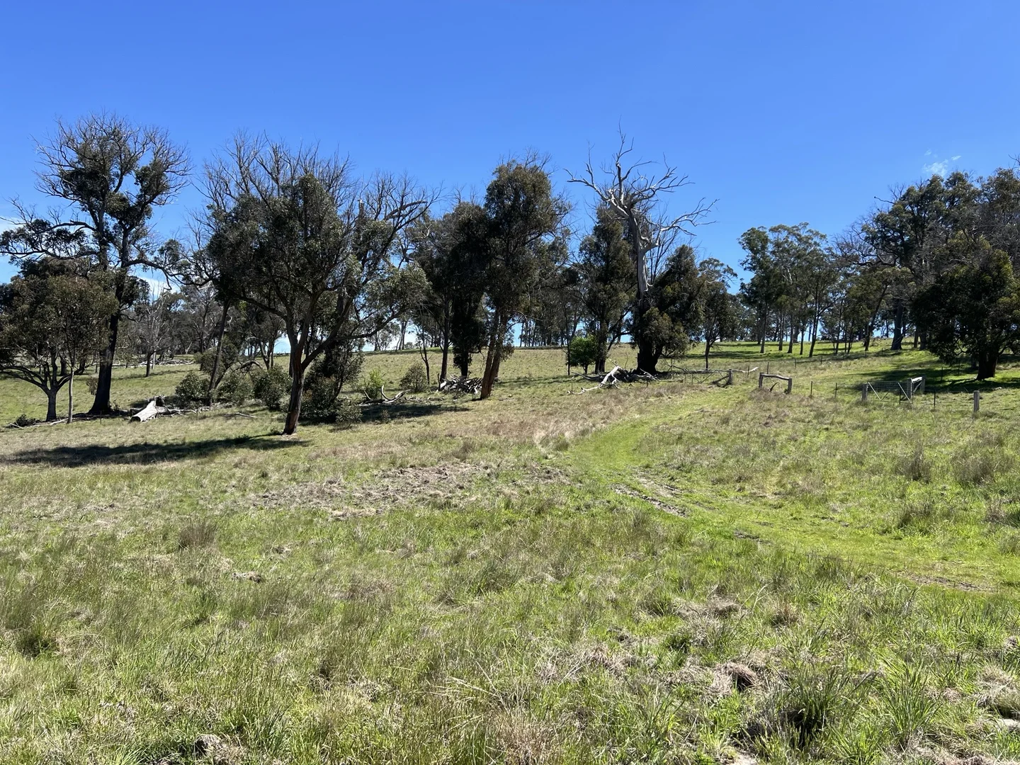 Additional image 5 of 860 Bullock Mountain Road, Yarrowford NSW 2370