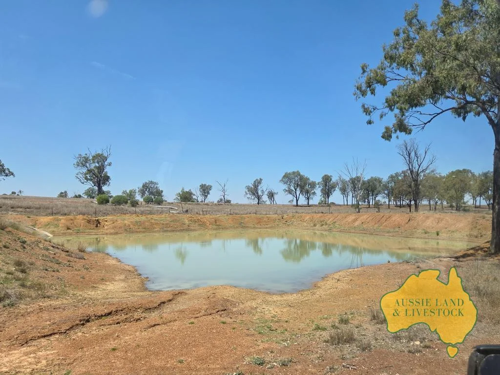 Additional image 29 of 110 BENHAMS ROAD, Mundubbera QLD 4626