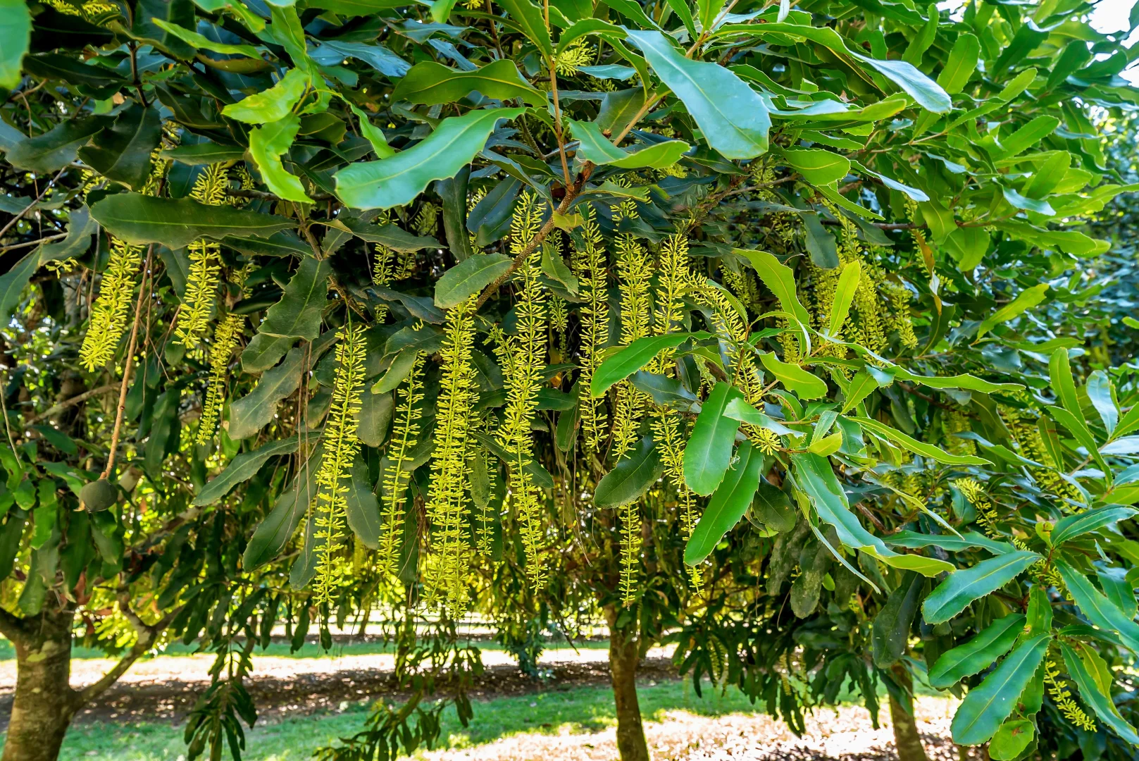 Additional image 12 of Pacific Highway, Eungai Creek NSW 2441