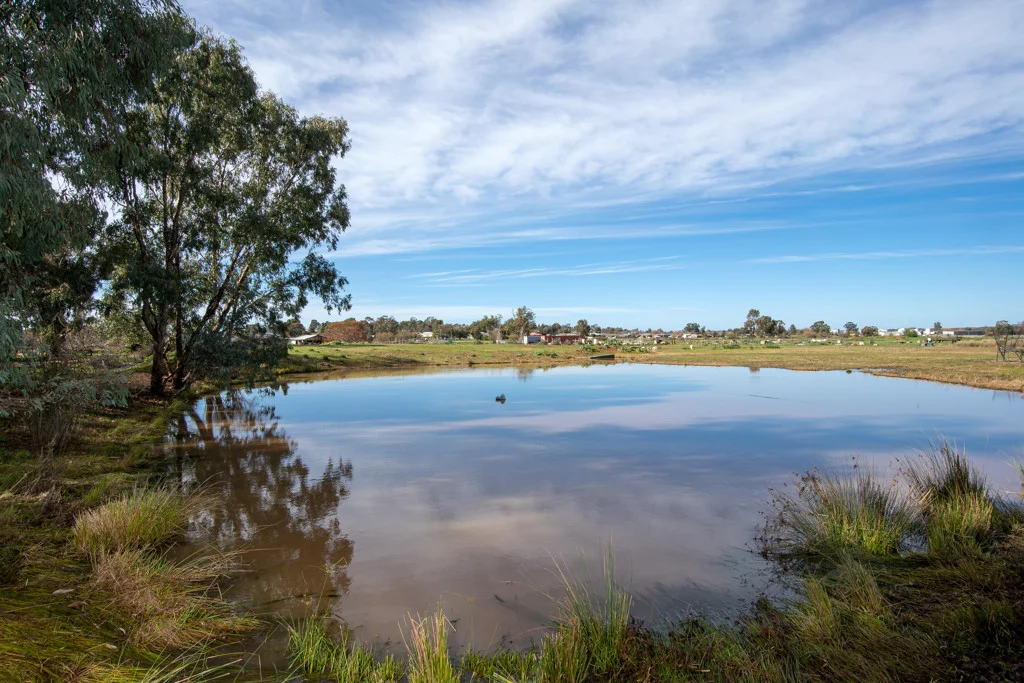 Additional image 17 of 92 Goldfields Way, Temora NSW 2666