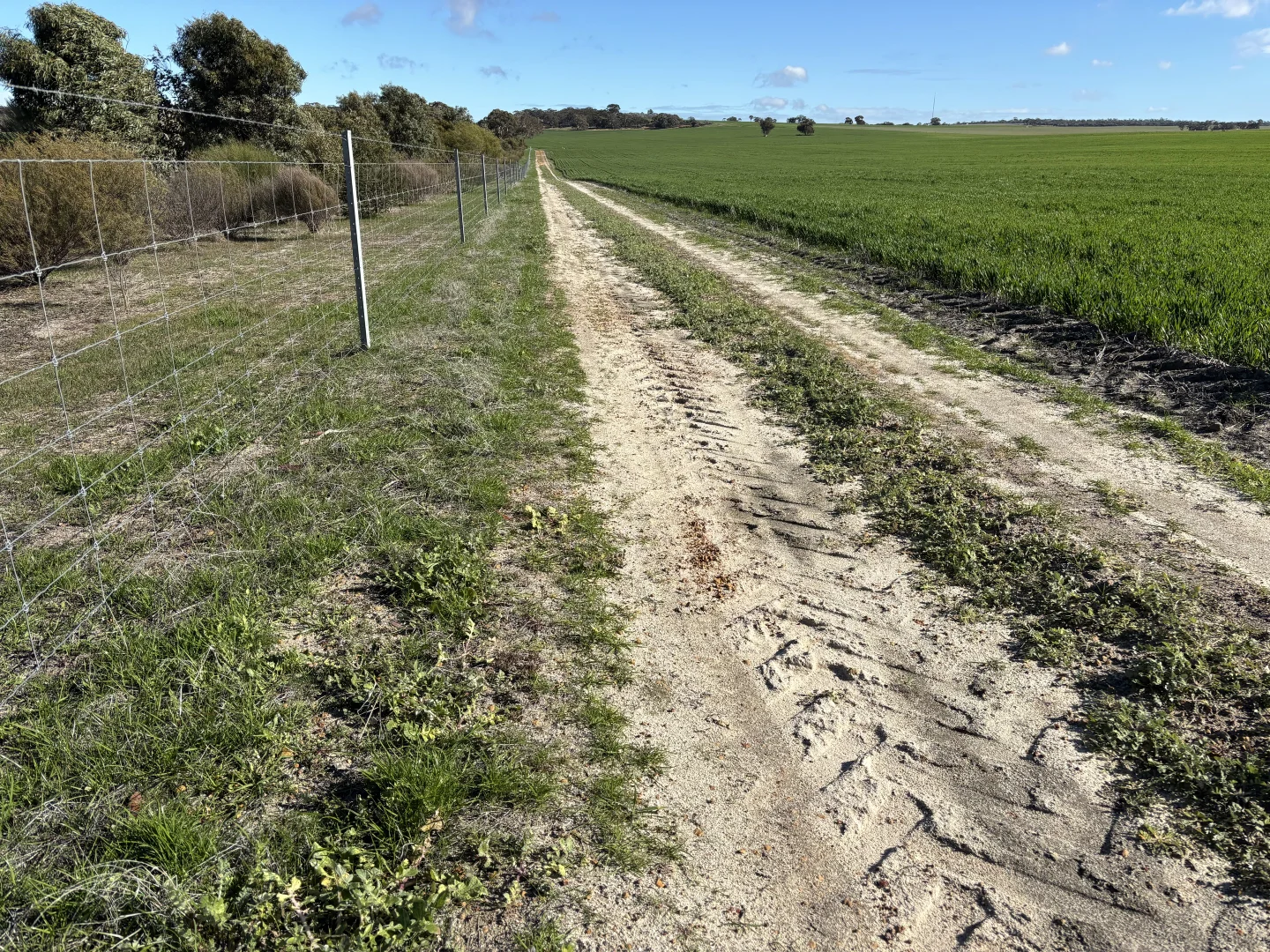 Additional image 3 of . 'Cobbers Soak', Quairading WA 6383