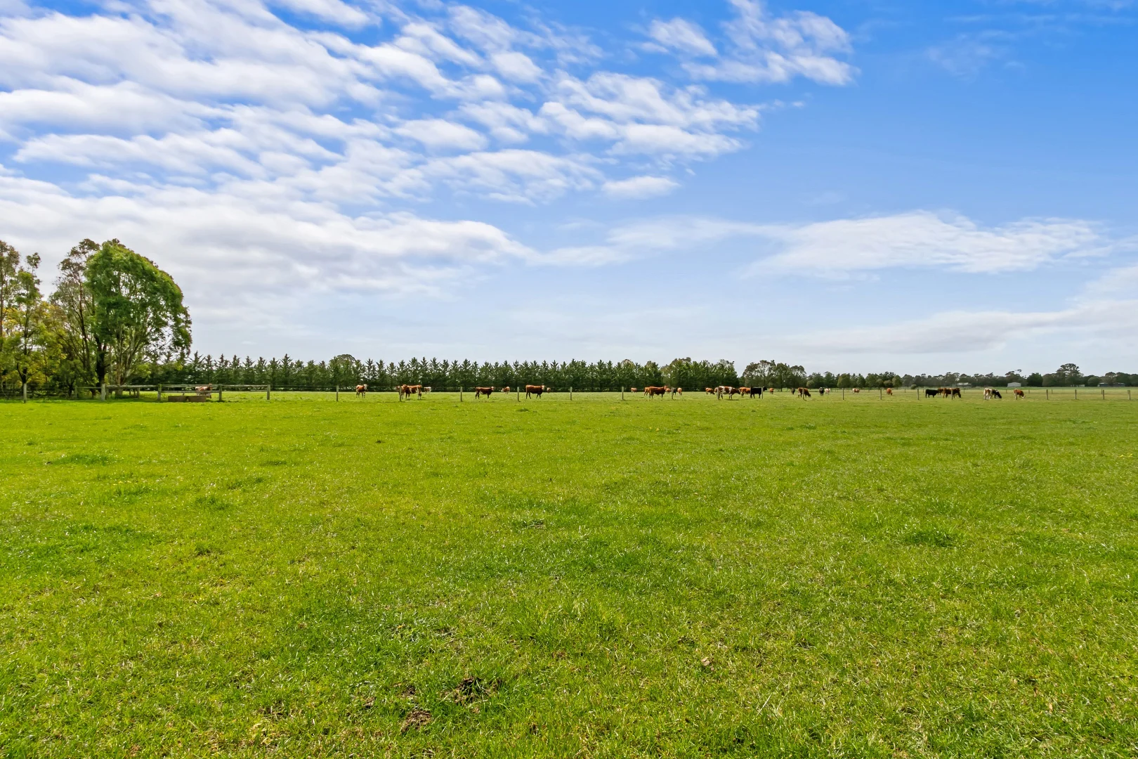 Additional image 33 of 90 Rifle Range Road, Glengarry VIC 3854