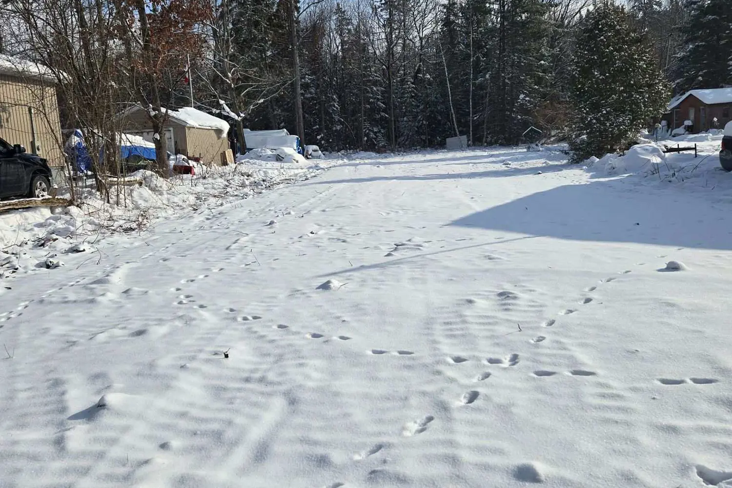 Additional image 3 of 77 Antiquary Beach Road