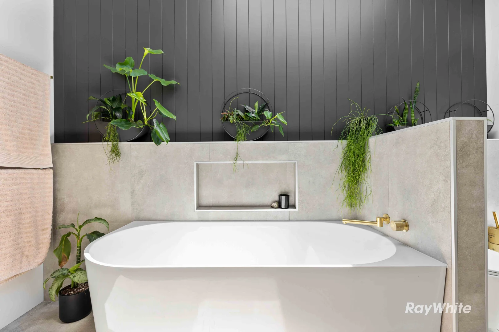 Additional image 12 of 24 Murramarang Road, Bawley Point NSW 2539