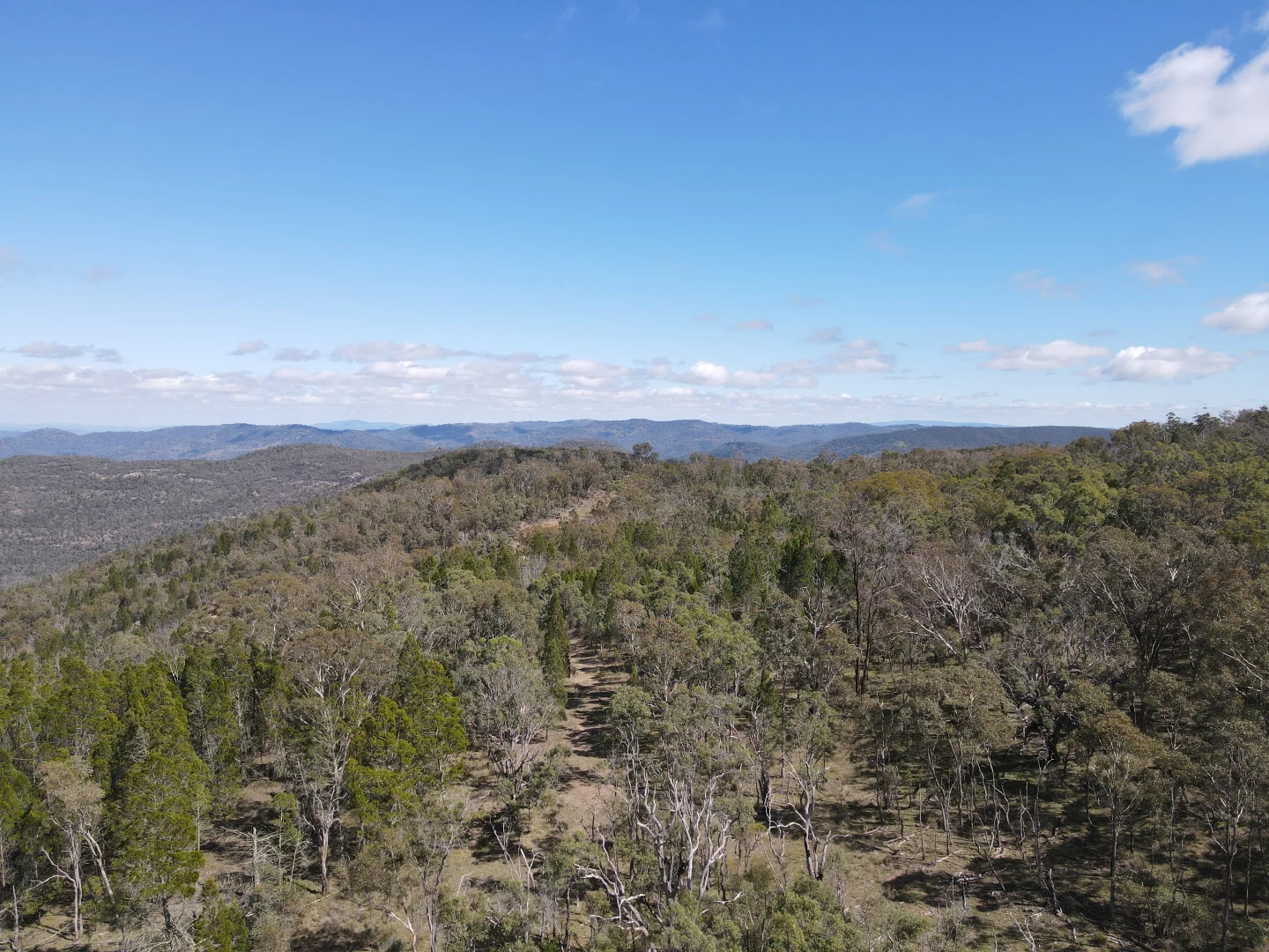 Additional image 16 of Pretty Gully Bendemeer Road, Kingstown NSW 2358